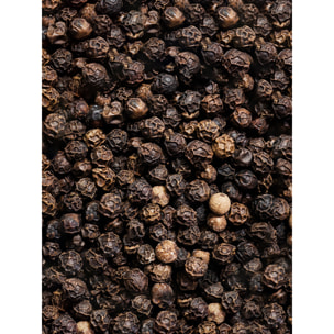 Pack Poivres et Sel Classique Multipack Mix Standard