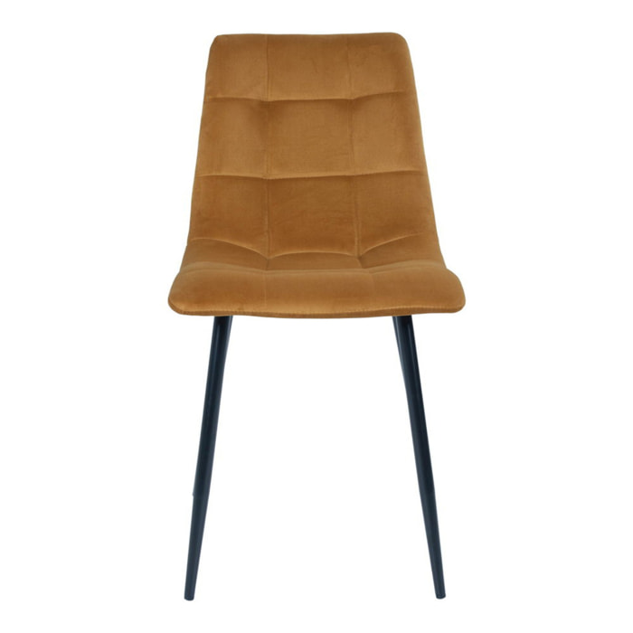 Set 2 sedie da pranzo Middelfart in velluto giallo senape con gambe nere