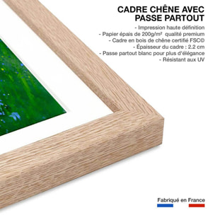 Affiche  bouquet de  bleues Affiche + cadre en bois - Chêne
