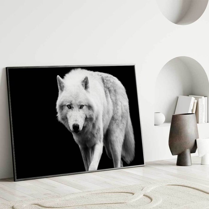 Affiche encadrée loup blanc sur fond noir Affiche + cadre en métal - Noir