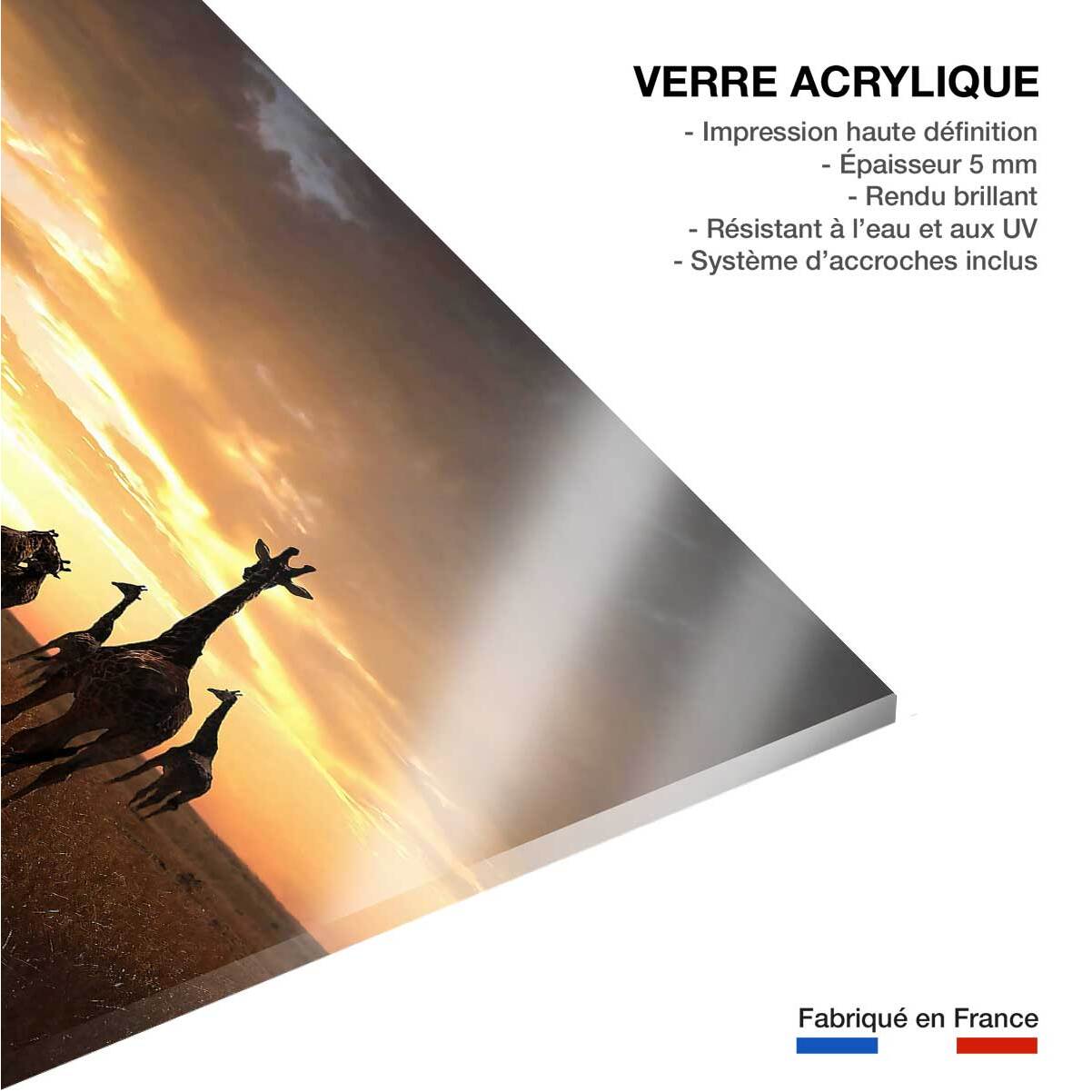 Tableau animaux girafe family Tableau plexiglas