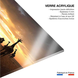 Tableau animaux girafe family Tableau plexiglas