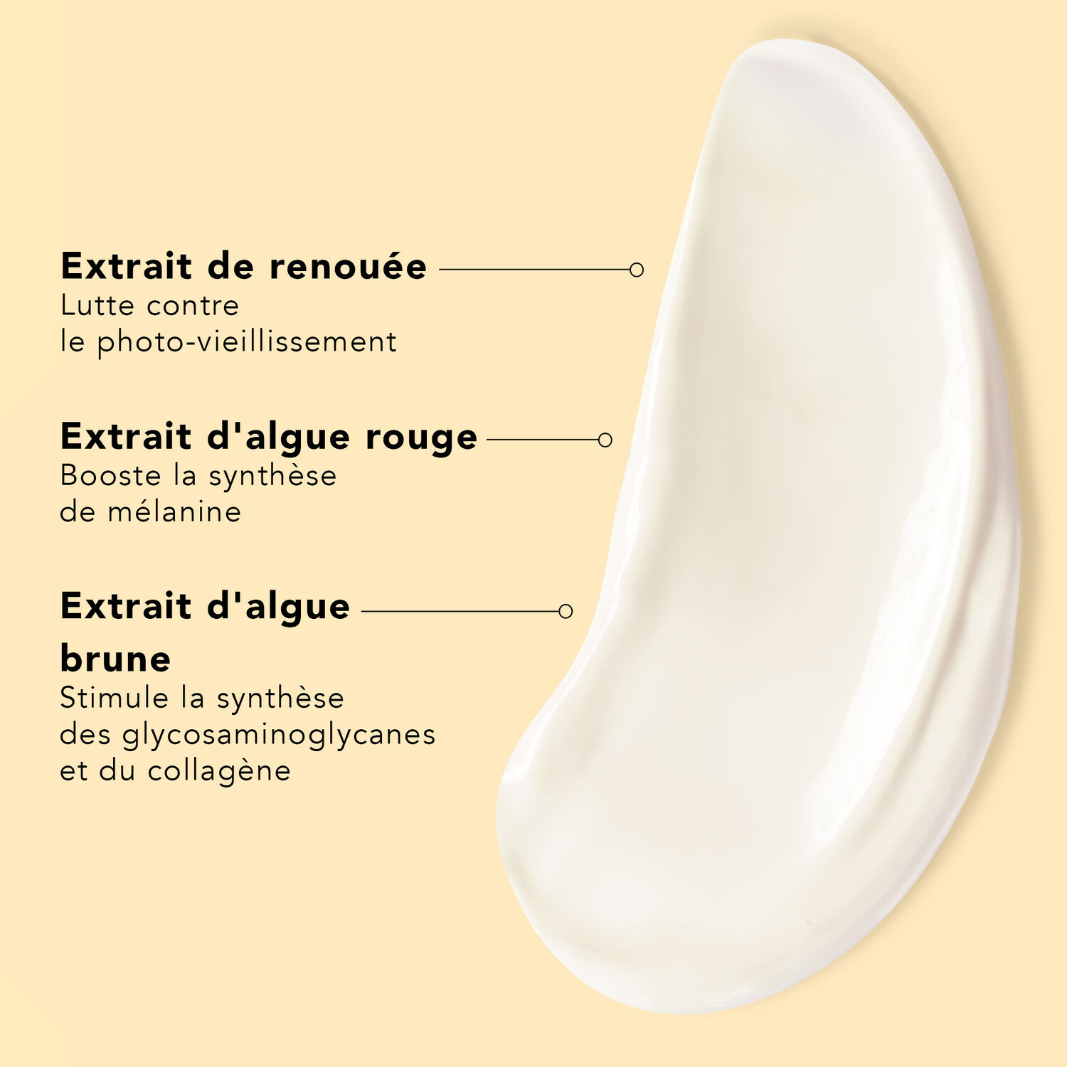 Sunissime - Le Lait Fondant Solaire SPF50