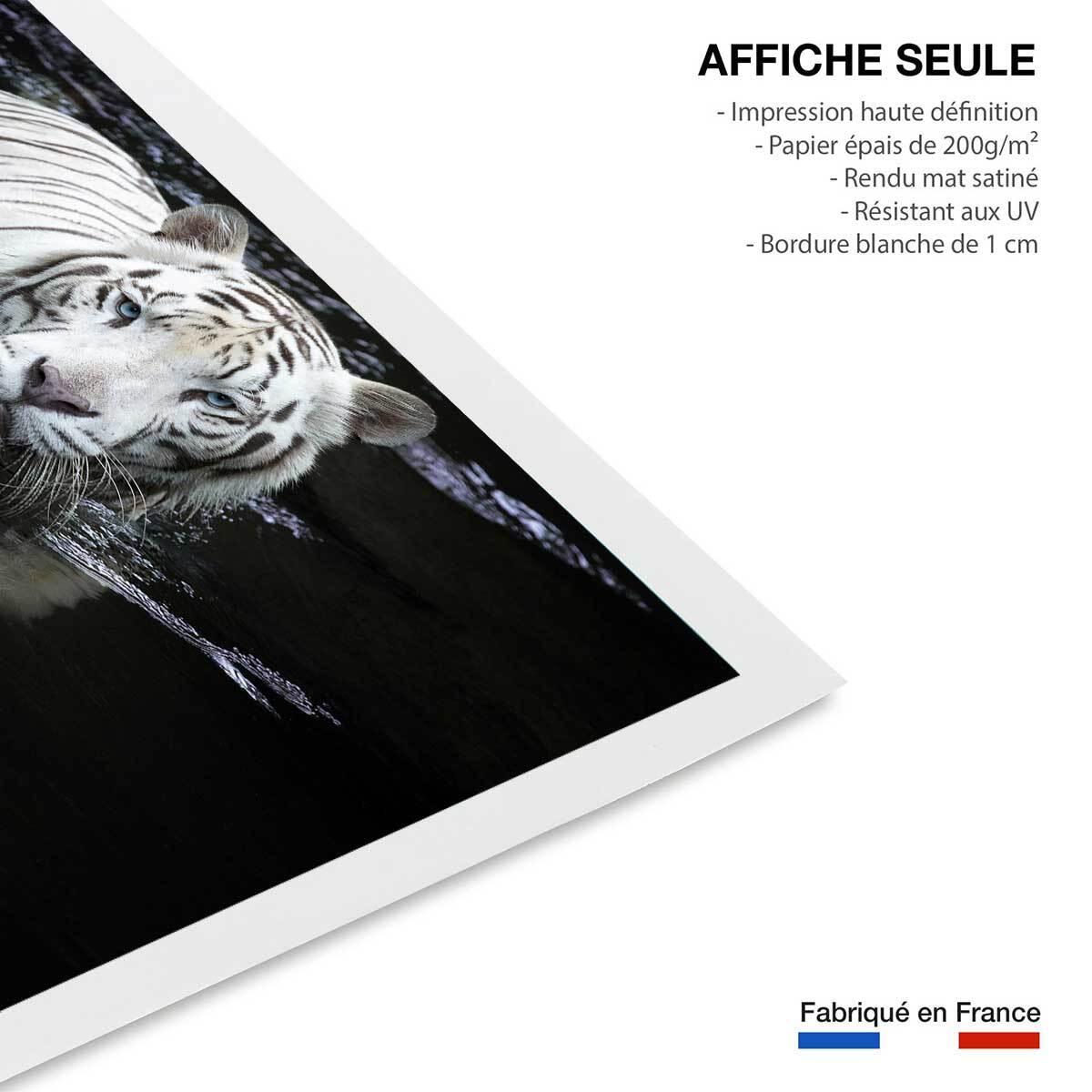 Affiche tigre Regarde moi... Affiche seule