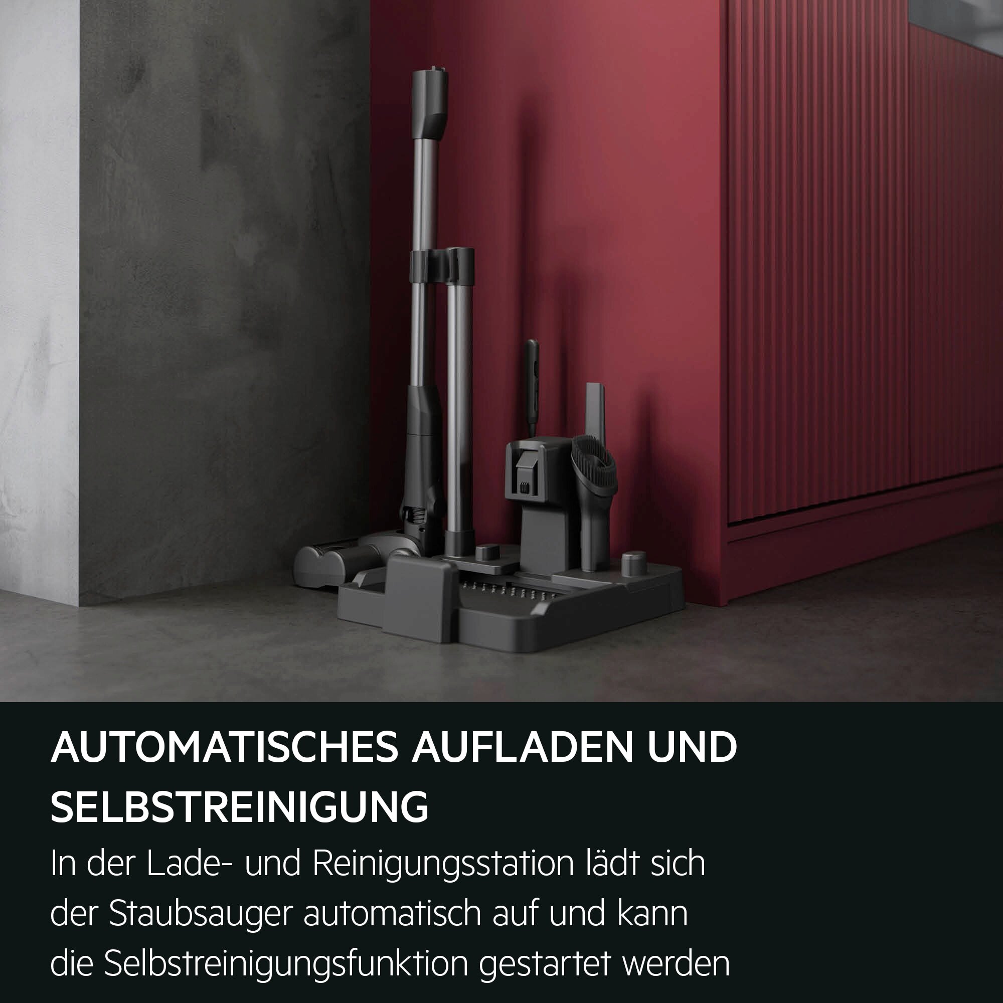 AEG Aspiradora sin cable Wet&Dry Serie 8000 de 80 min de autonomía AW82U1DB