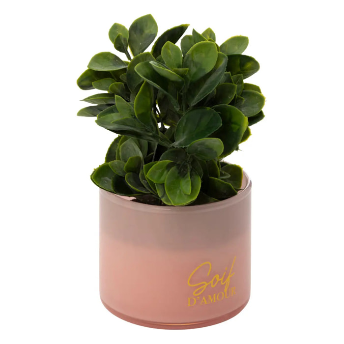 Plante artificielle en pot "Tayli" H18cm