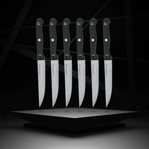 Lot de 6 couteaux à steak Nirosta Mega 21 cm