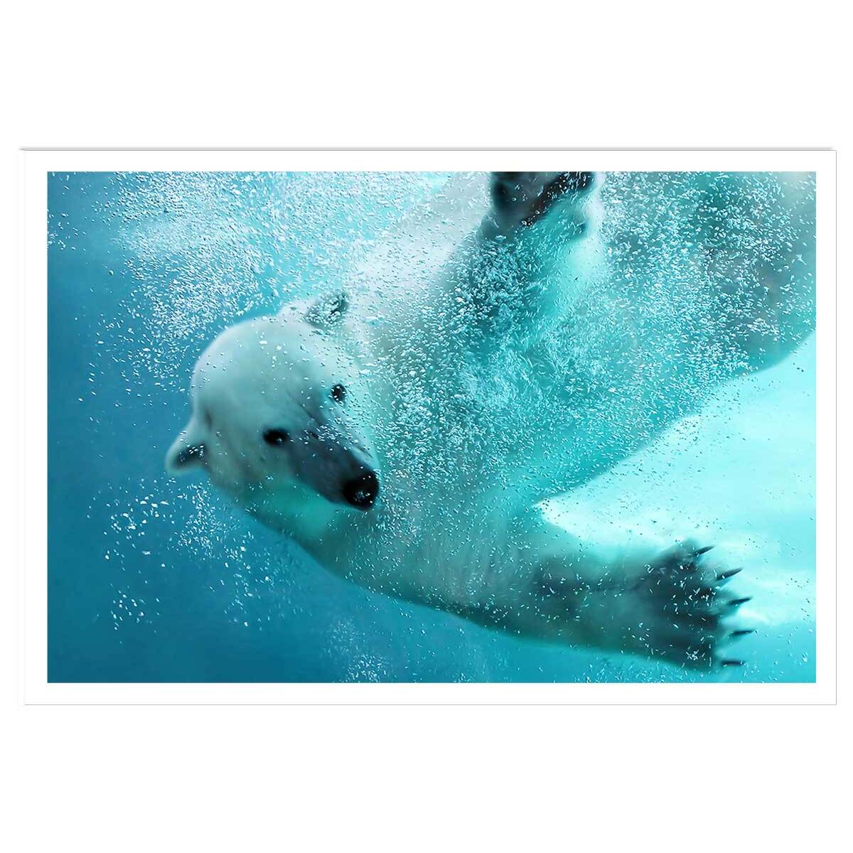 Affiche ours blanc en plein plongeon Affiche seule