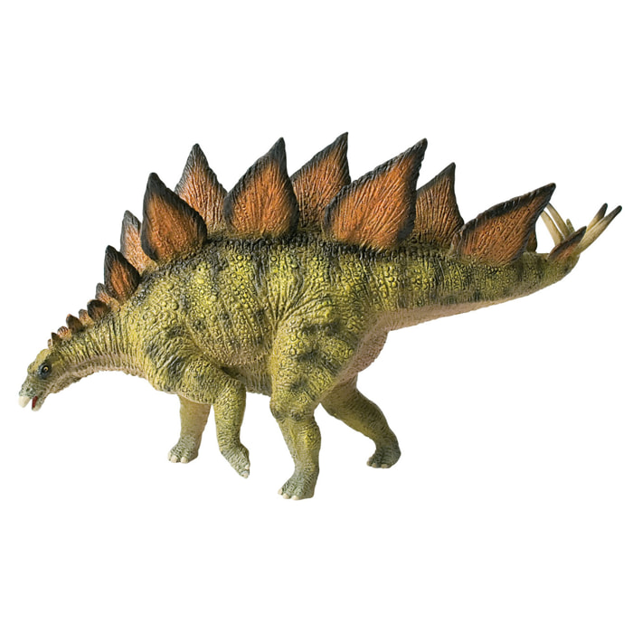 Dinosauri/Stegosauro Linea Museo Naturale