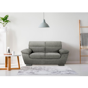 Canapé fixe en tissu "Dallas" - 169 x 88 x 90 cm - 2 places - Gris