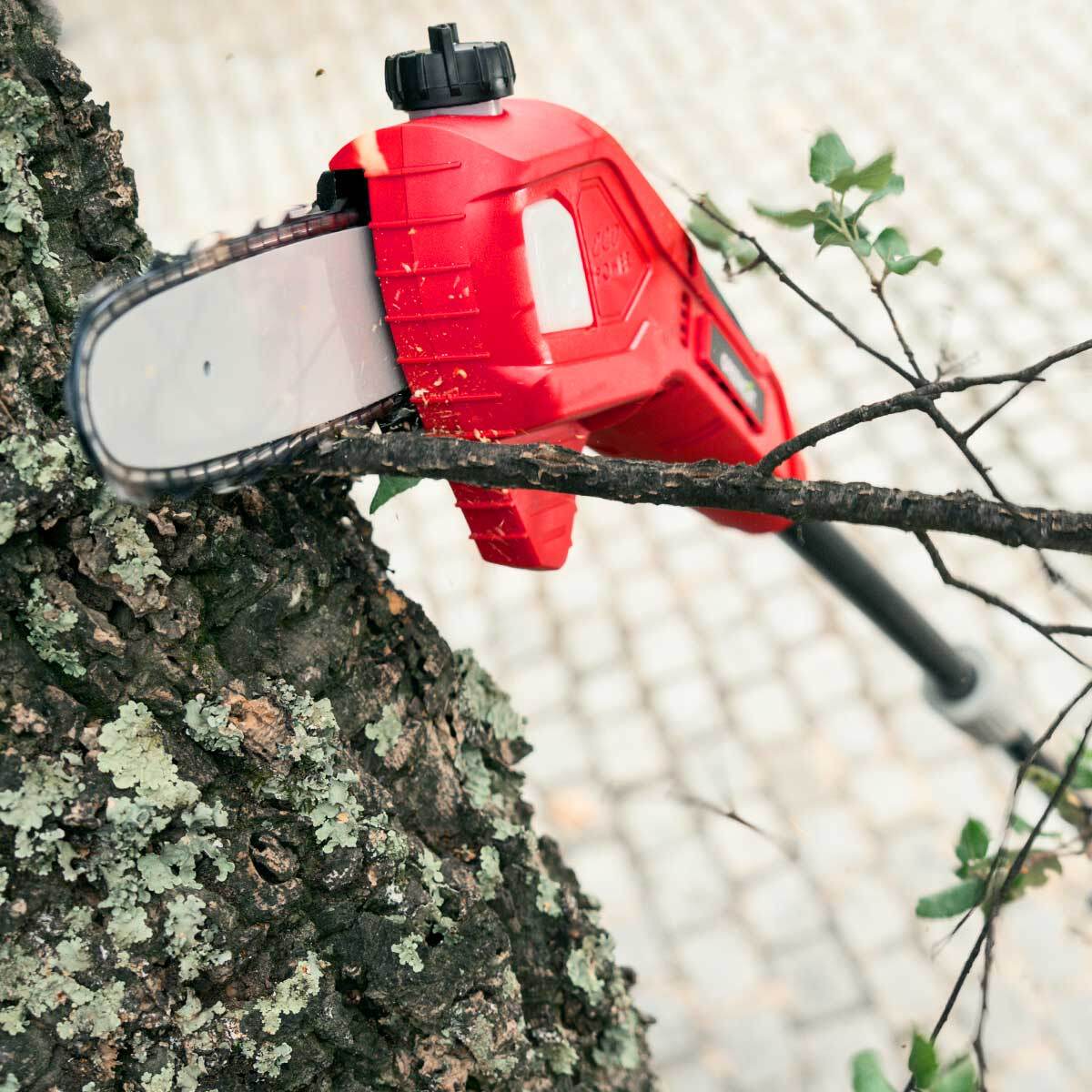 Podadora de altura de batería espada de 170mm capacidad de corte de hasta 150mm - Greencut PP400L