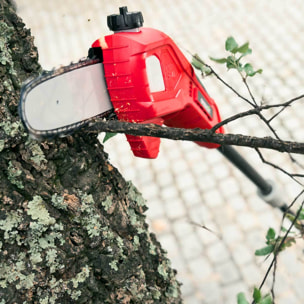 Podadora de altura de batería espada de 170mm capacidad de corte de hasta 150mm - Greencut PP400L