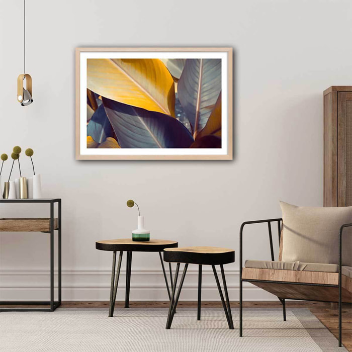 Affiche palm leaves y Affiche + cadre en bois - Chêne