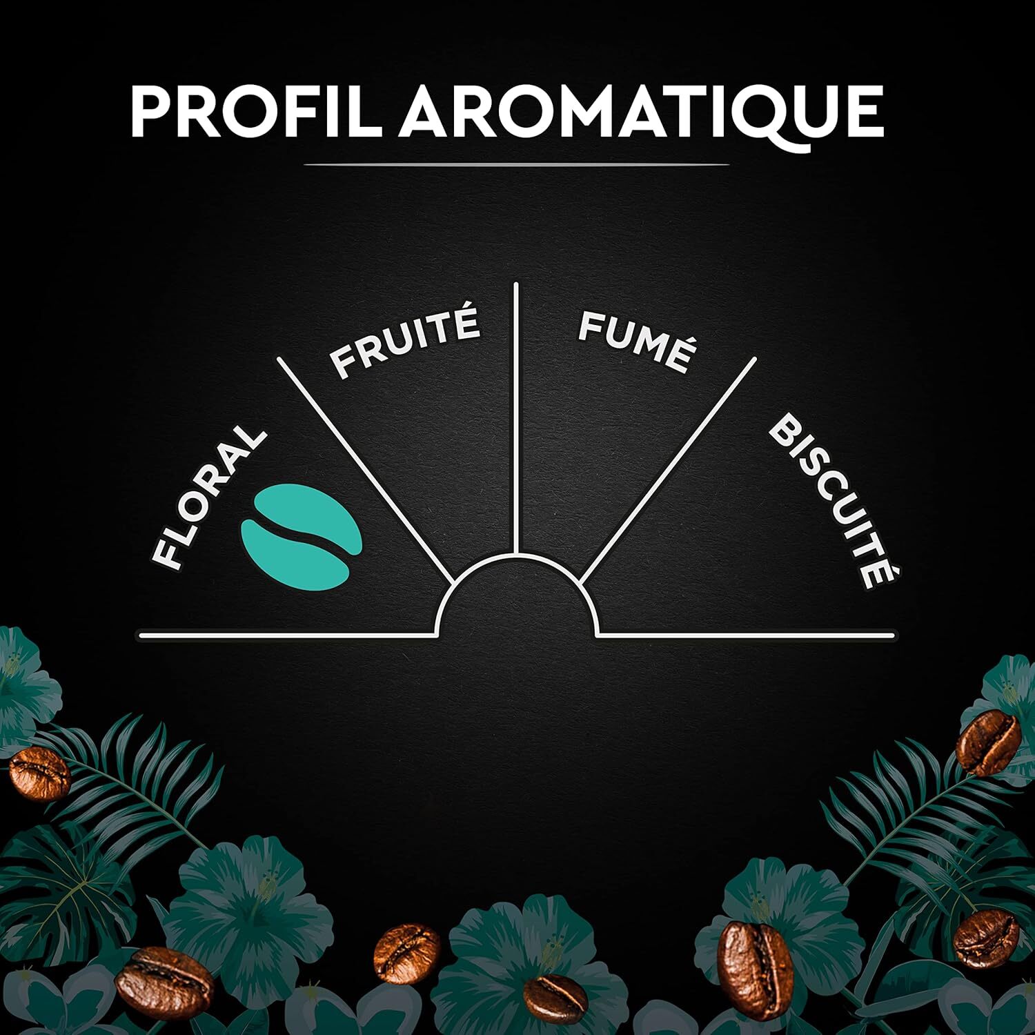 Carte Noire Grains Pérou Bio 500g