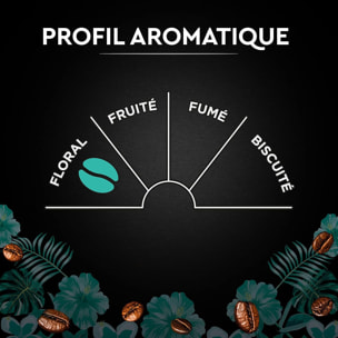 Carte Noire Grains Pérou Bio 500g