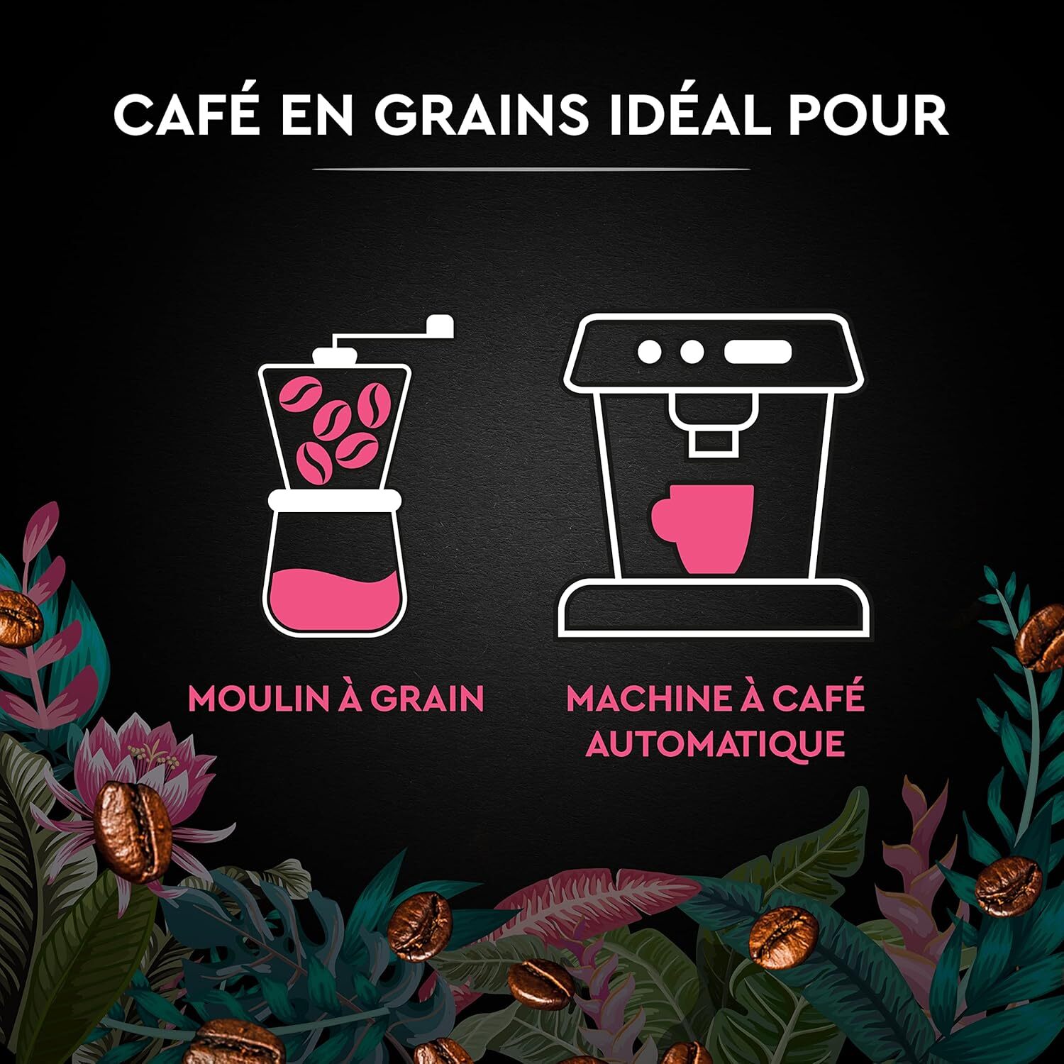 Grains Secret de Nature Congusta 1 KG