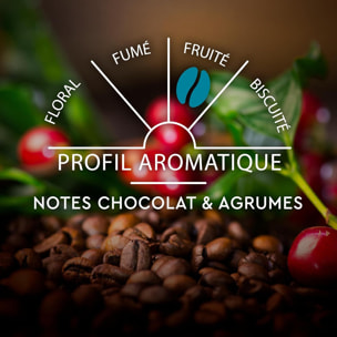 Espresso Classique n°7 x10 - Capsules compatibles Nespresso en aluminium