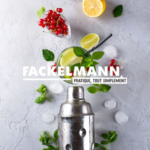 Lot de 2 Bac à glaçons 14 glaçons Fackelmann Bar Concept