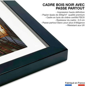 Affiche photo librairie des sciences - Affiche + cadre en bois - Noir