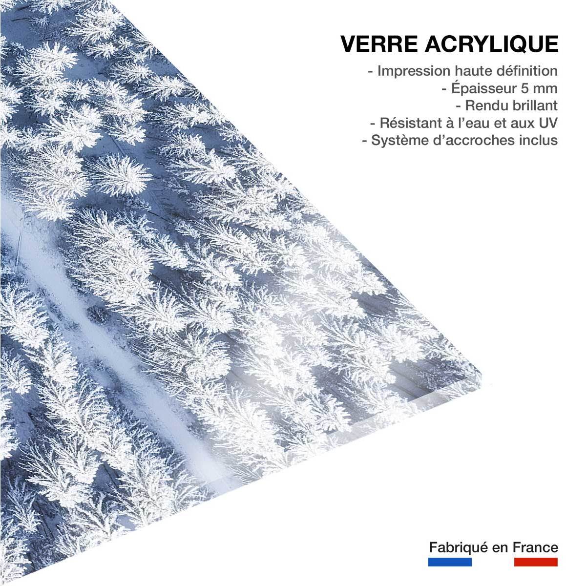 Tableau foret bleue de neige blanche  Tableau plexiglas