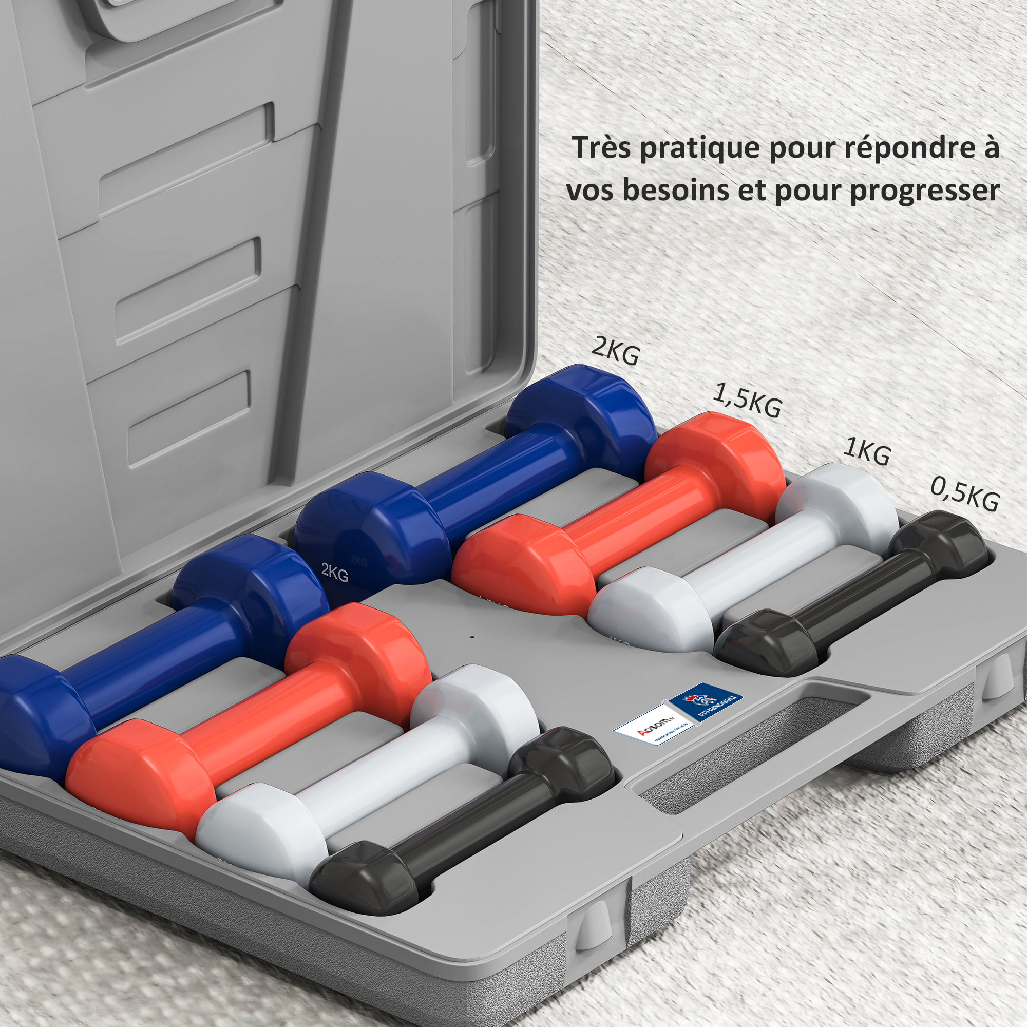 Ensemble d'haltères courtes total 10 Kg - collaboration Aosom.fr x FFHandball - paires de 0,5/1/1,5/2 Kg avec malette - métal PU multicolore