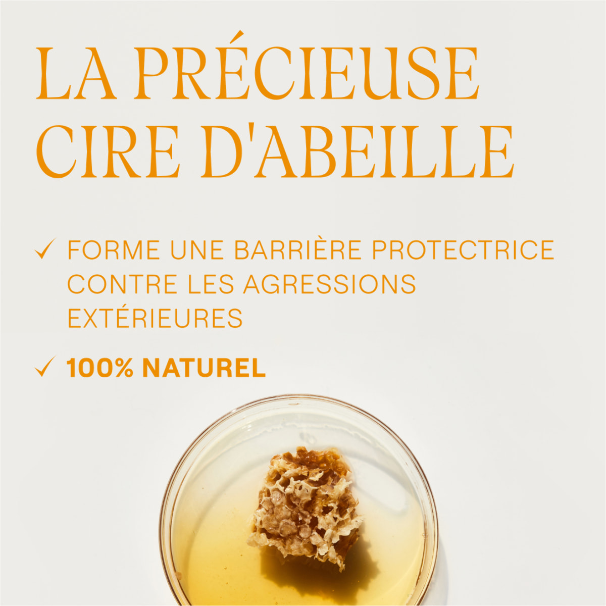 WELEDA - DUO rituel visage et lèvres - Crème Nutri-protectrice Cold Cream + Soin des lèvres Everon - Protection - Certifié Natrue** - Tube 30ml et 48g