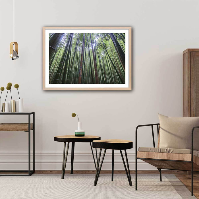 Affiche zen Bambous Geants Affiche + cadre en bois - Chêne