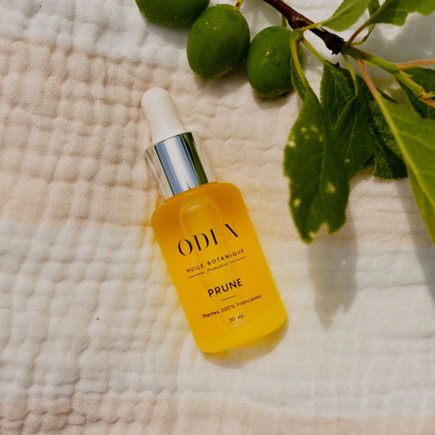 Huile Botanique de Prune - Nourrissante