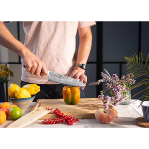 Couteau de Chef Gyuto | Lame 200 mm | Acier Inoxydable Japonais San-Mai