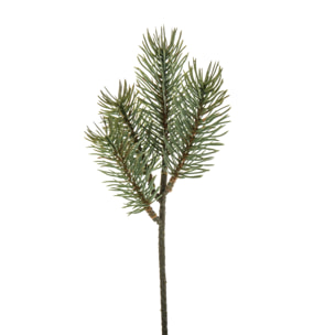 Abete pick - Pezzi 48 - 8xH24x6cm - Bianchi Dino SpA