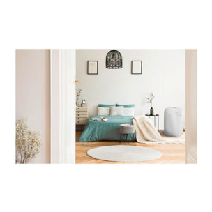 Climatiseur BEKO BA308AC