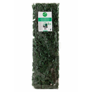 Celosia Extensible Con Hojas Basic