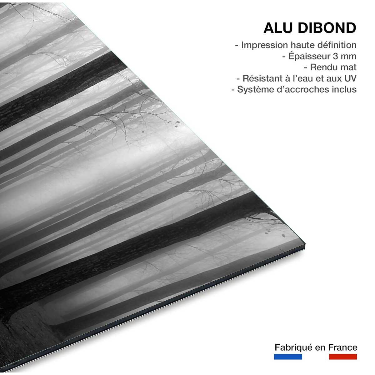 Tableau nature foggy weather Tableau alu Dibond