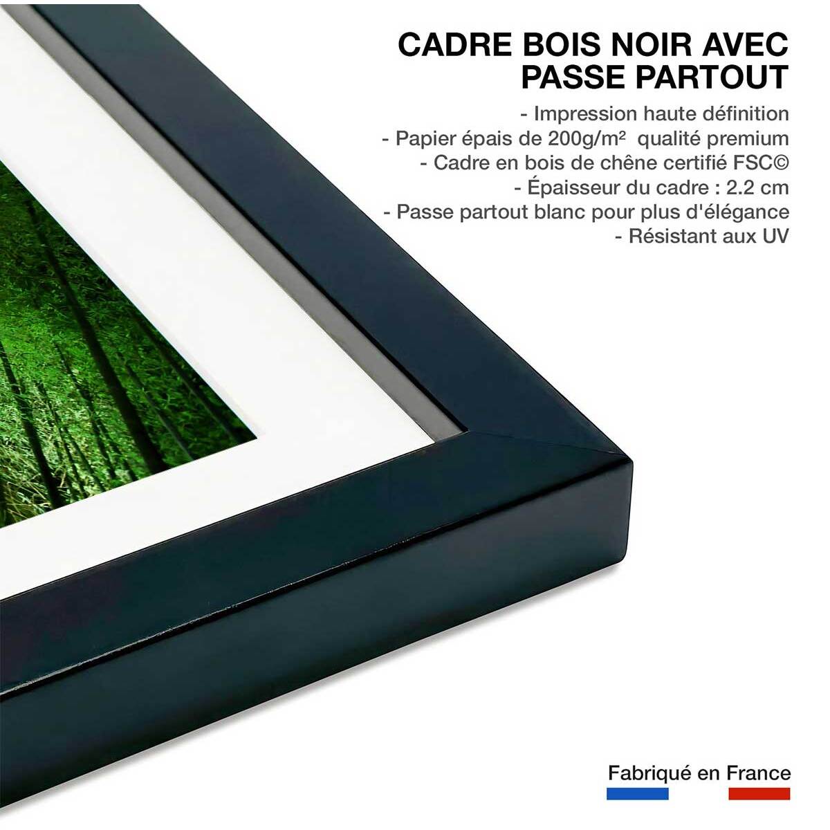 Affiche nature forêt de bambous à kyoto Affiche + cadre en bois - Noir