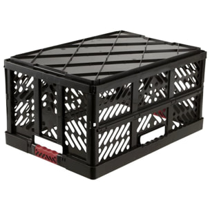 Robusta caja plegable con asas suaves, 54 x 37 x 28 cm, 45 l, ben, gris grafito