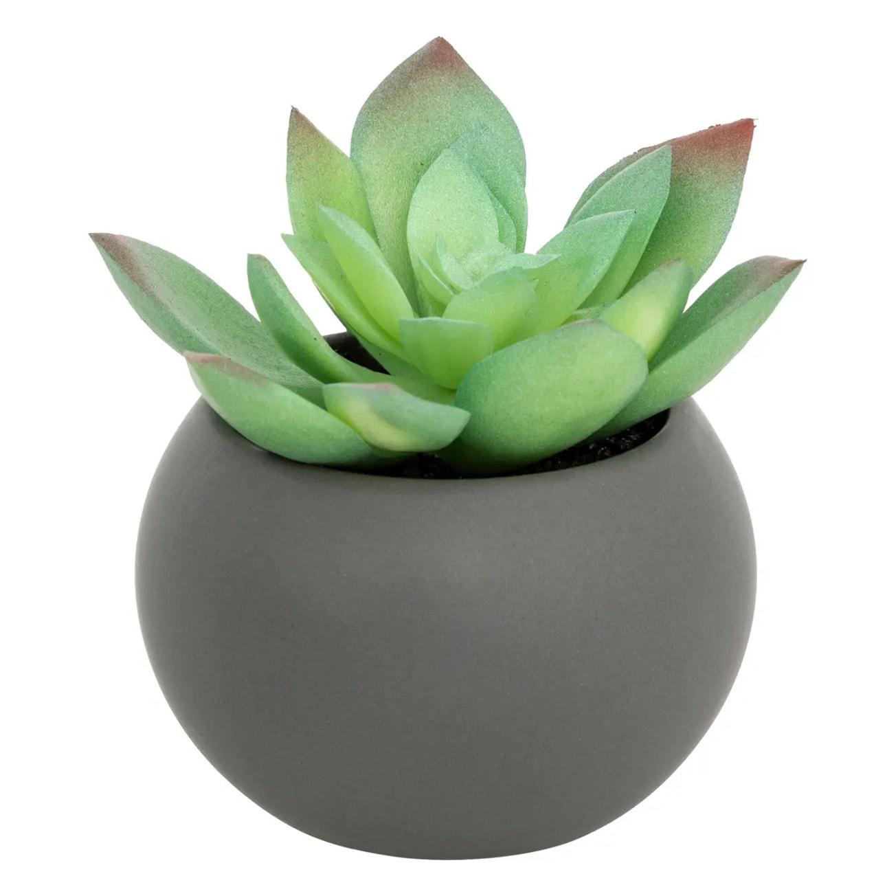 Plante grasse artificielle - pot en céramique - H13 cm