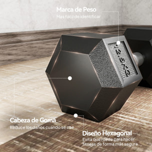 Juego de Mancuernas Hexagonales, 2 x 12,5 kg, de Hierro Fundido, Recubiertas de Goma, Juego de Pesas con Barras de Conexión para Entrenamiento en Casa, Gimnasio y Oficina, Negro y Plata