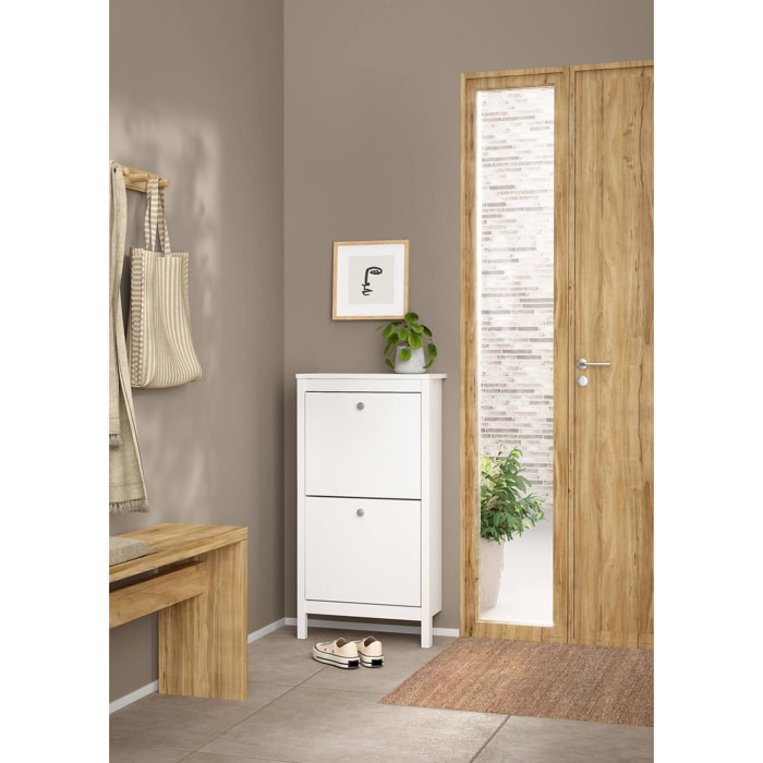 Scarpiera Tisoy, Mobile portascarpe, Armadio da ingresso multiuso, Mobiletto per calzature, 54x25 h103 cm, Bianco