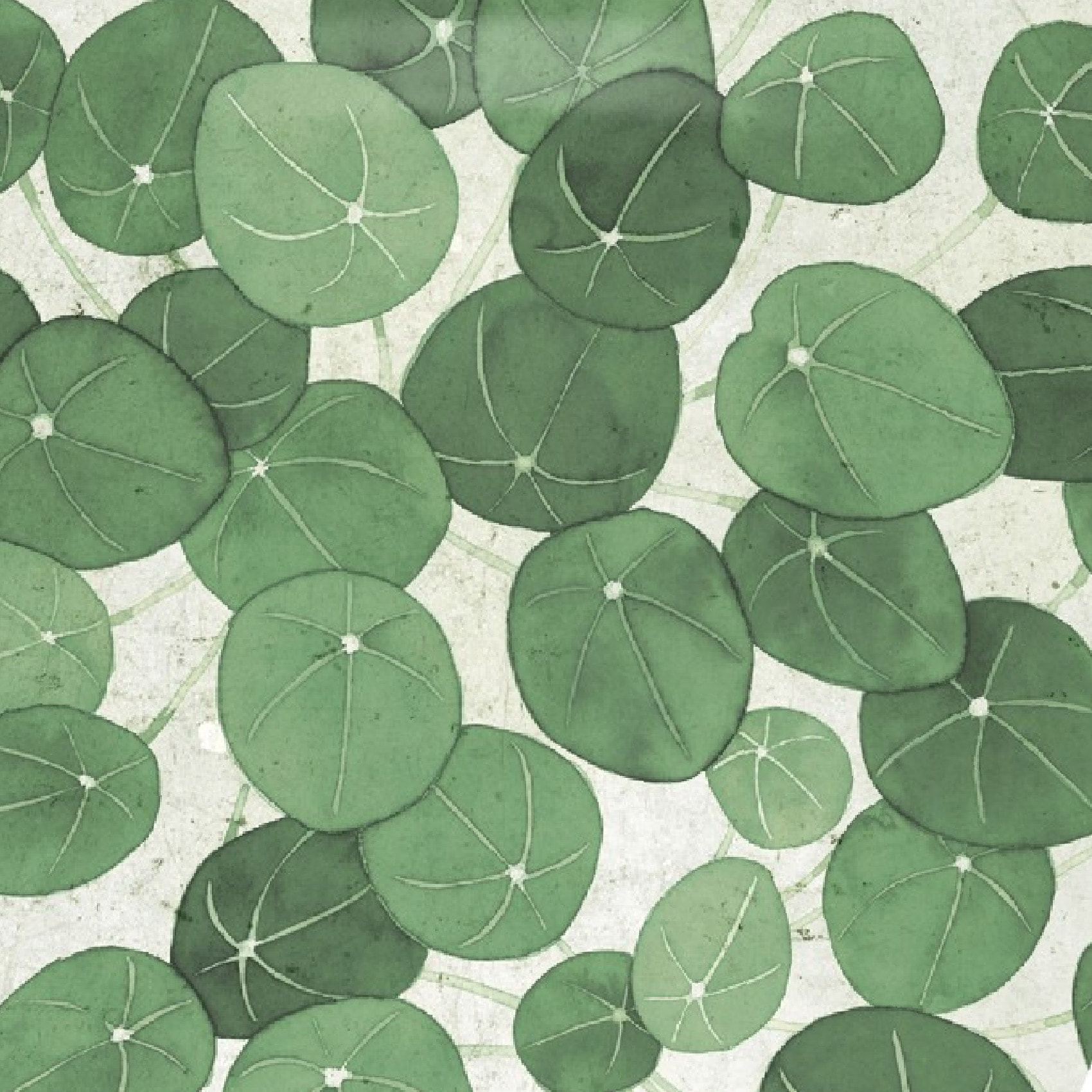 Abattant easy clip avec descente assistée feuilles de Piléa - Blanc