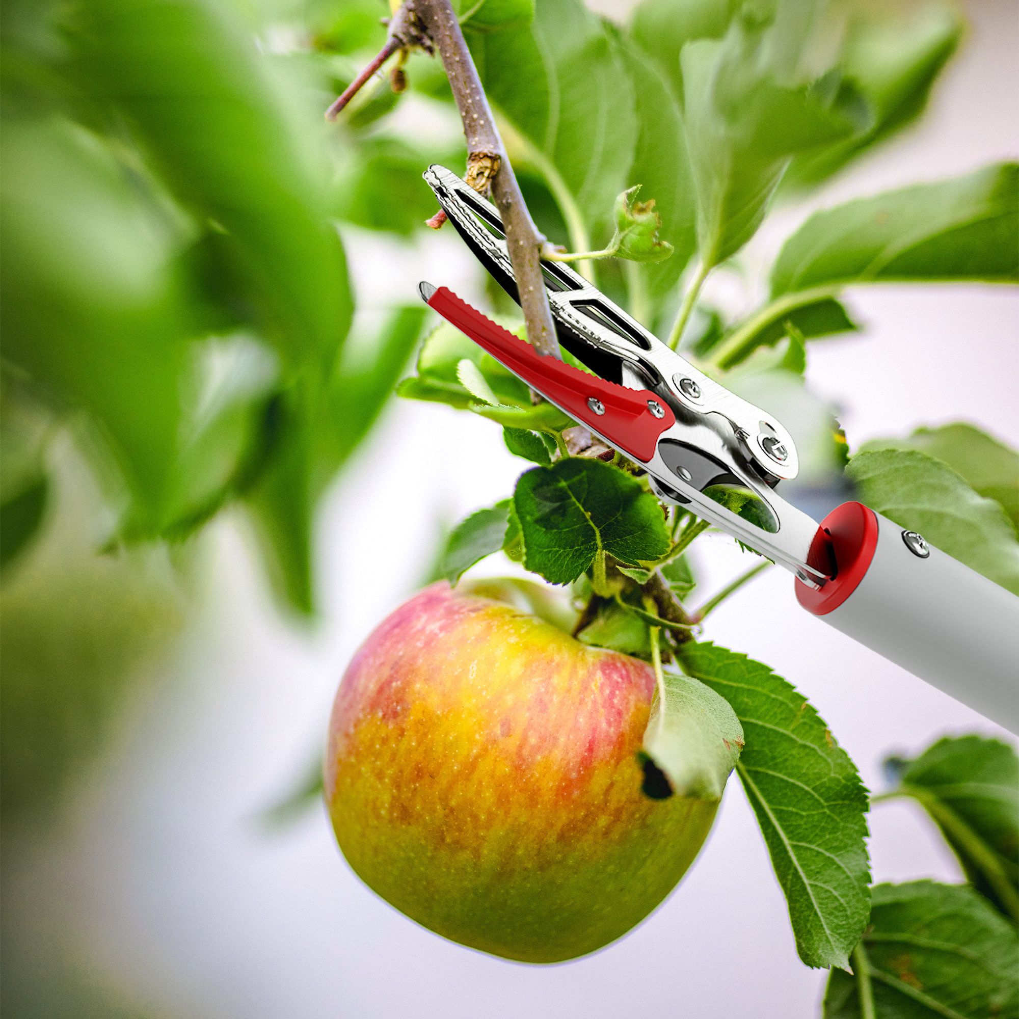 Tijeras de Podar de Jardín 180 cm, Podadora de Árboles de Largo Alcance, con Mango de Aluminio Ligero y Resistente, Cuchilla Metálica, para Poda de Ramas Altas y Recoger Frutas