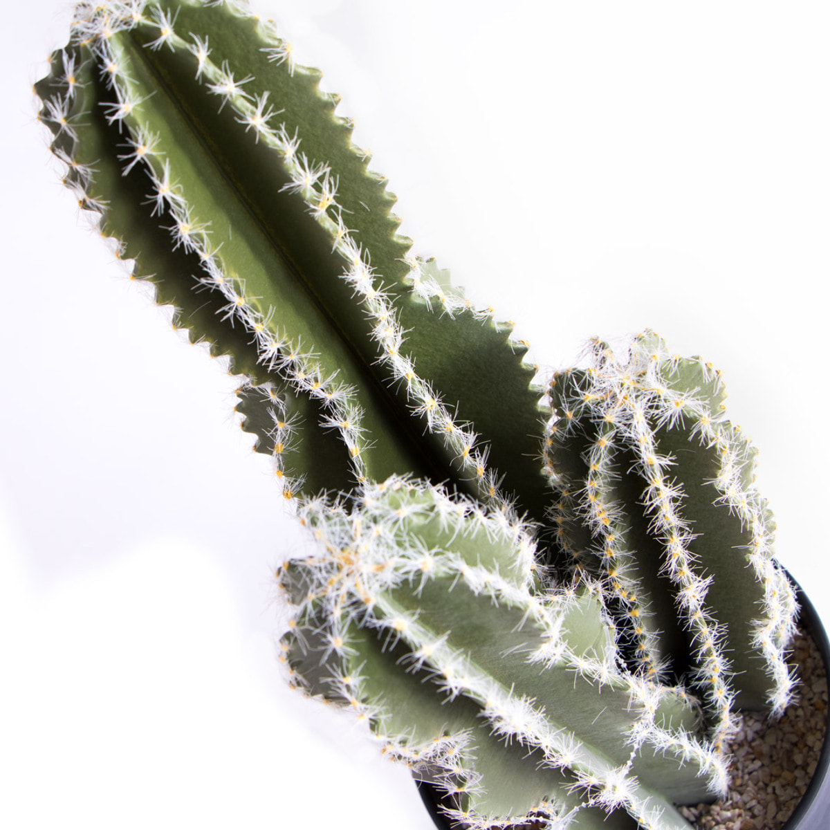 Cactus Castillo De Hadas 62 Cm