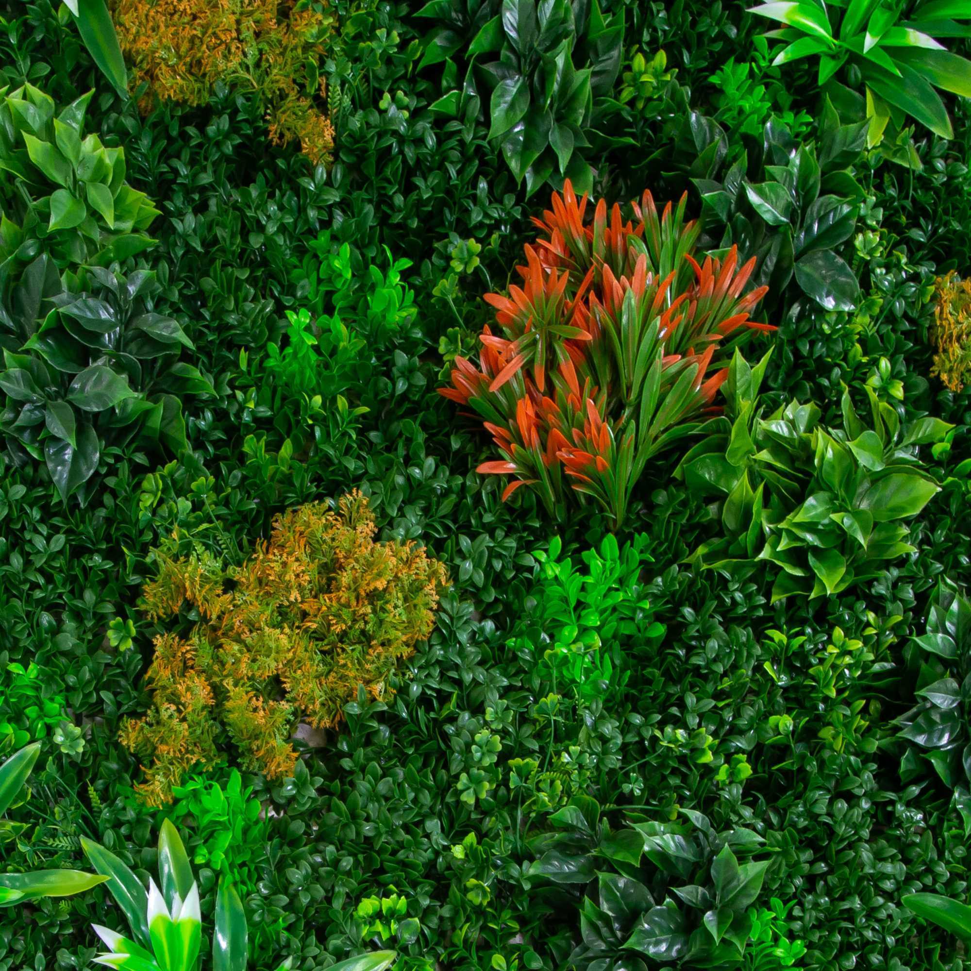 Parete verde verticale Vacchetti misto fiori cm100x100