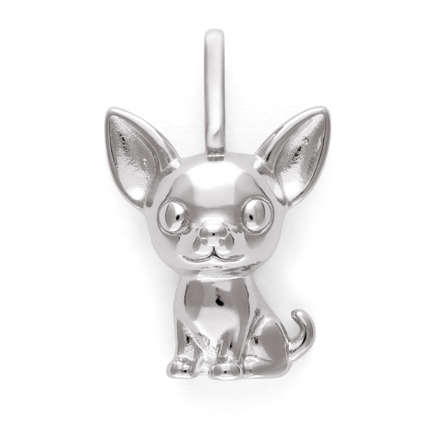 Charm Chihuahua