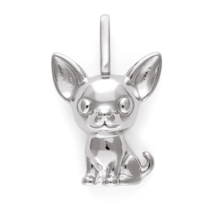 Charm Chihuahua