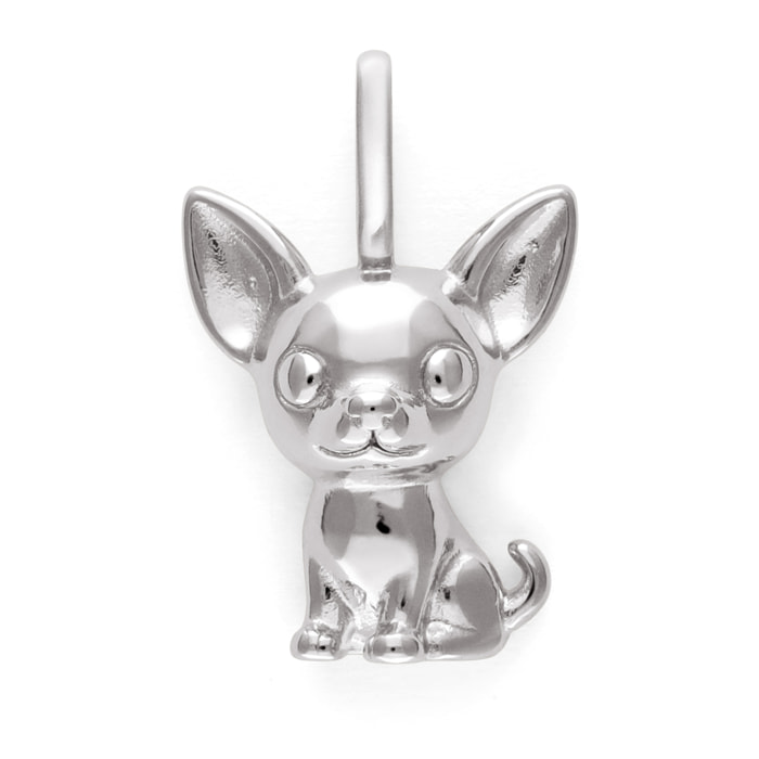 Charm Chihuahua
