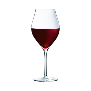 6 copas 55 cl Exaltation - Chef&Sommelier