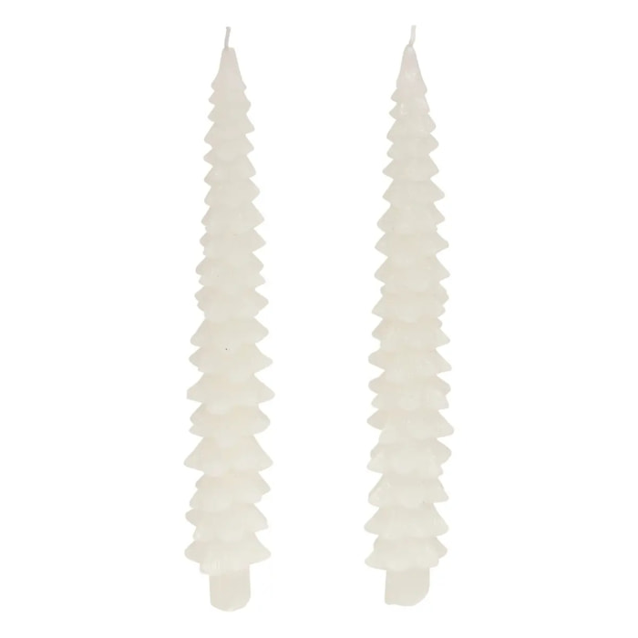 Lot de 2 bougies bâton sapin blanc