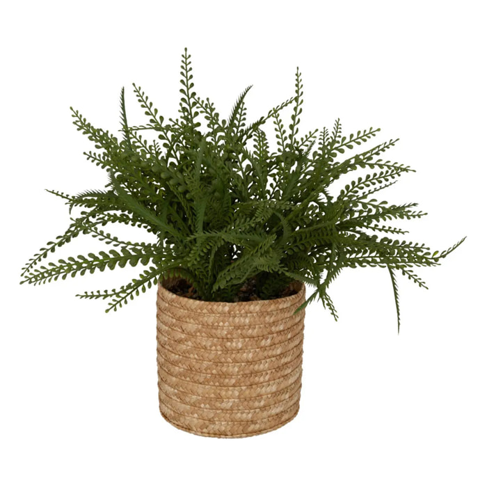Fougère artificielle en pot "Clemy" vert H45cm