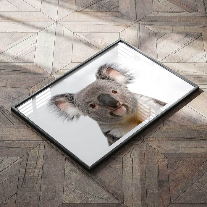 Affiche enfant bébé koala  Affiche seule