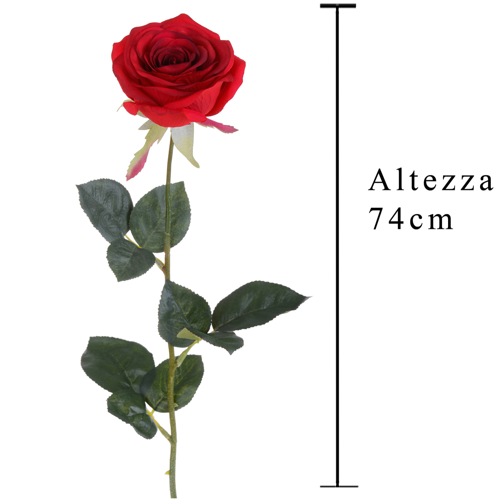 Rosa Aperta. Altezza 74 Cm - Pezzi 6 - 20X74X10cm - Colore: Rosso - Bianchi Dino - Fiori Artificiali